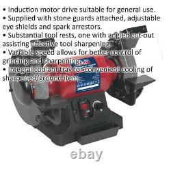 150mm Variable Speed Bench Grinder 250W Induction Motor Fine & Coarse Stones
