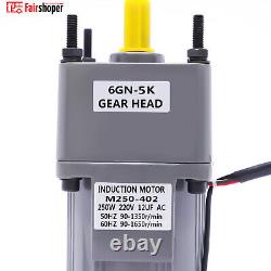 220V 250W AC Gear Electric Motor Variable Speed Controller Output 0-270 RPM