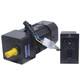 220v 60w Ac Gear Reducer Motor Variable Speed Reversible Motor With Governor 110