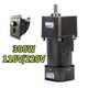 220v110v Ac Motor Adapter Electric Motor 300w Variable Speed Controller Gear Box