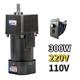 220v110v Ac Motor Adapter Electric Motor 300w Variable Speed Controller Gear Box