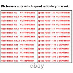 300W AC220V 110V Motor Adapter Electric Motor Variable Speed Controller Gear Box