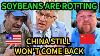After Losing China Market Us Soybean President Realizes America Needs China To Be Great Again