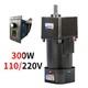 Speed Variable 300w Electric Ac 220/110v Motor Adapter Gear Box Motor Controller