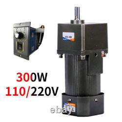 Speed Variable 300W Electric AC 220/110V Motor Adapter Gear Box Motor Controller