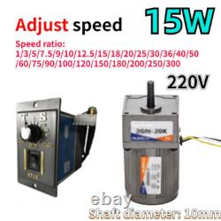 Variable Adapter Electric Adjust Speed Controller & Motor 15W AC Gear Motor Box