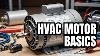 Want To Master Hvac Motor Basics Watch This Now